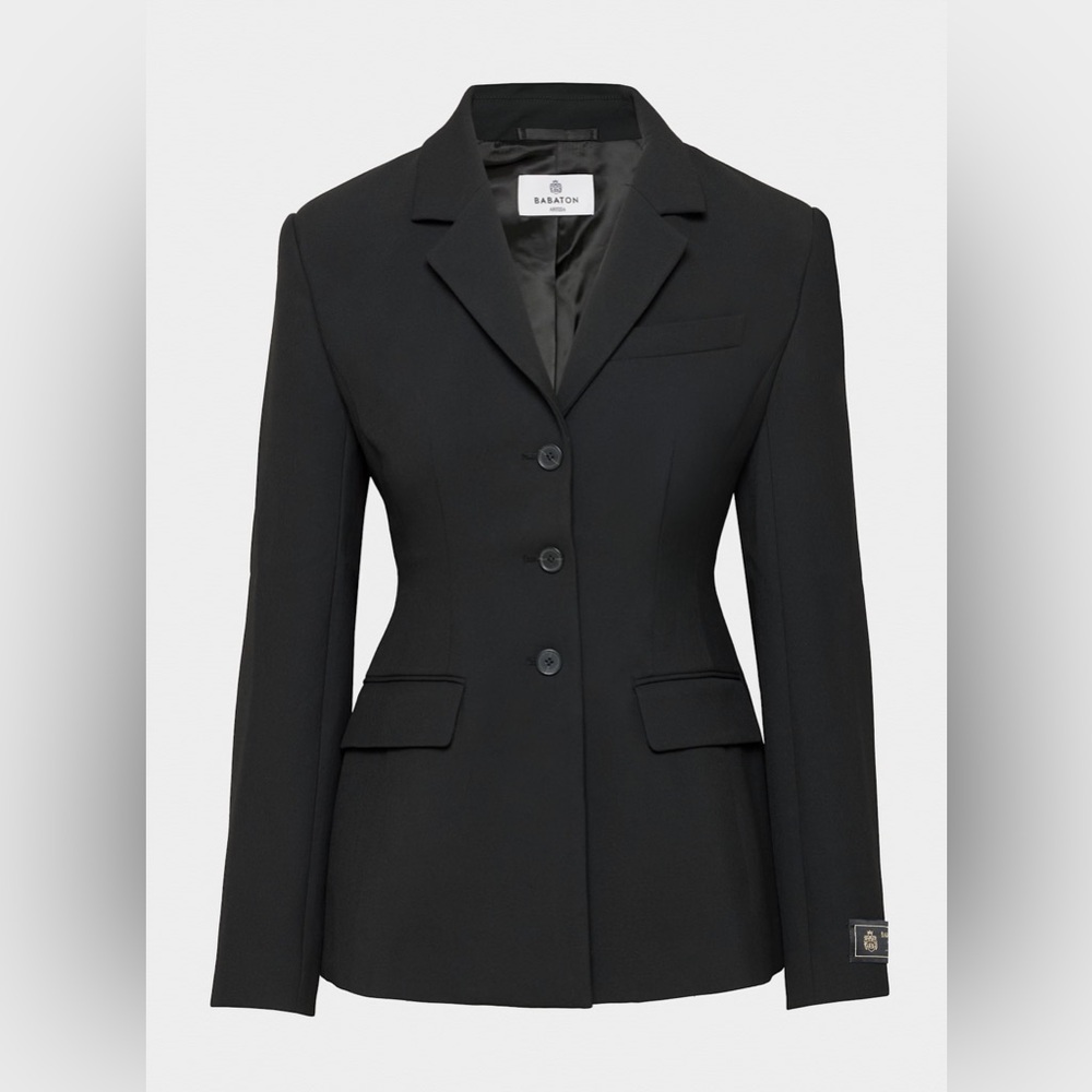 Aritzia Babaton Standout Blazer